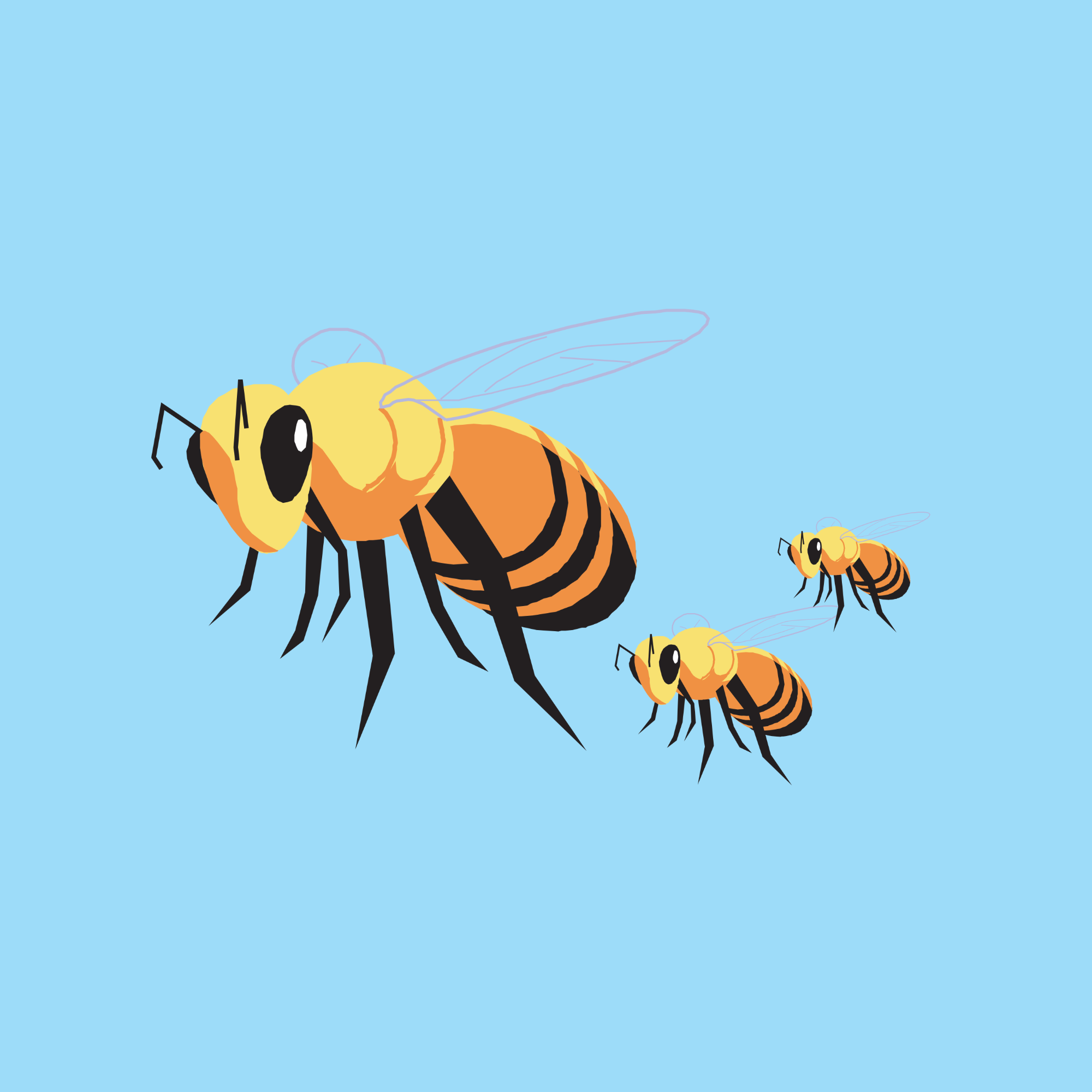 Bees